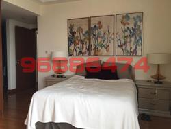 Scotts 28 (D9), Condominium #95163412